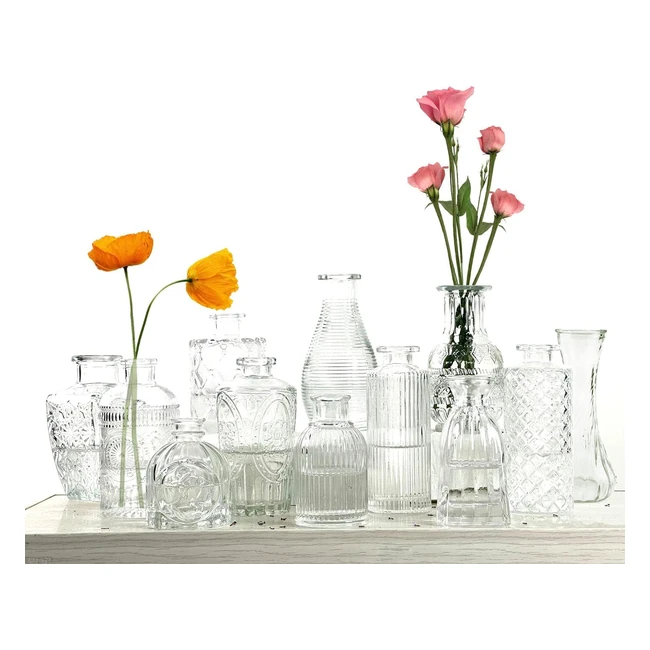 Mini Vasi Decorativi in Vetro Trasparente - Design Moderno - Set da 12