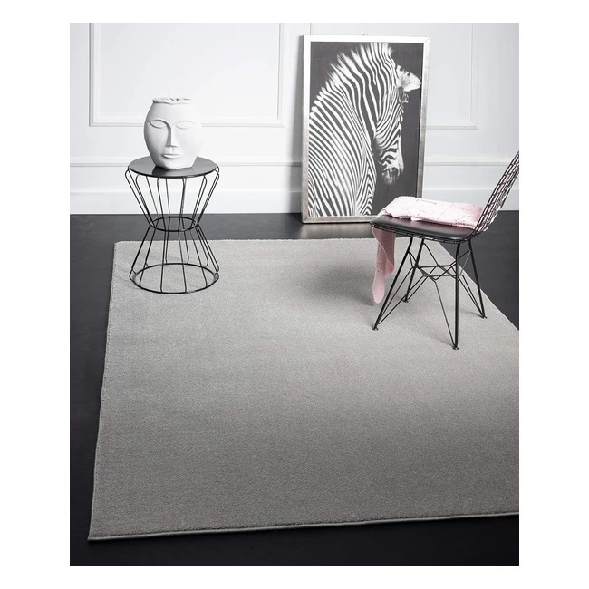 Emma Alfombra de Salón Pelo Corto 17mm 120x170cm - Gris