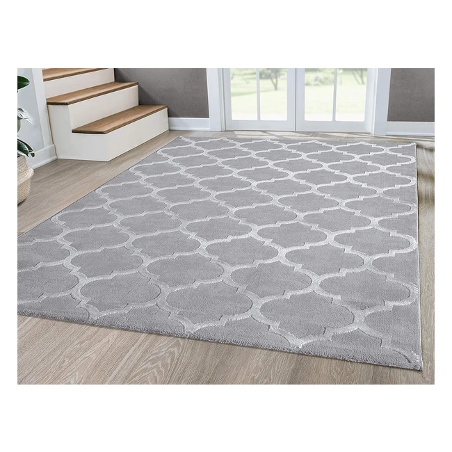 Mias Teppiche Anna Alfombra Salón 120x170cm Gris - Pelo Corto - Alta Calidad
