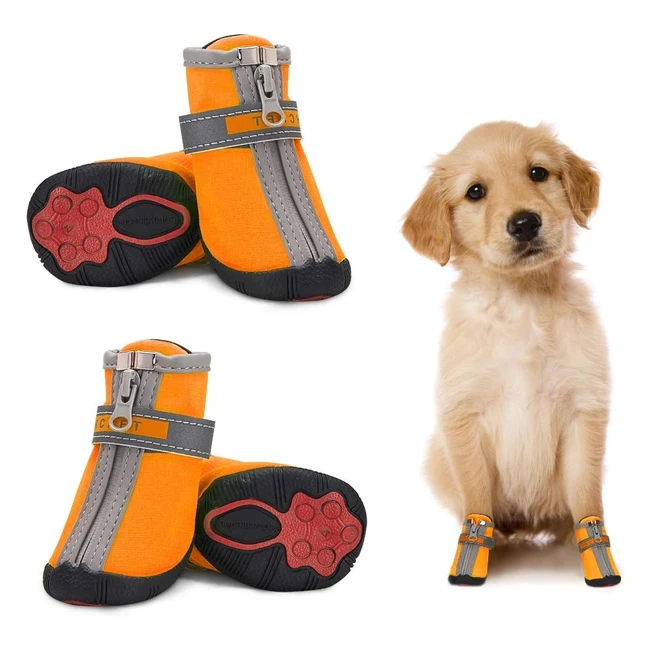 Scarpe per cani impermeabili di piccola taglia - Set di 4 antiscivolo