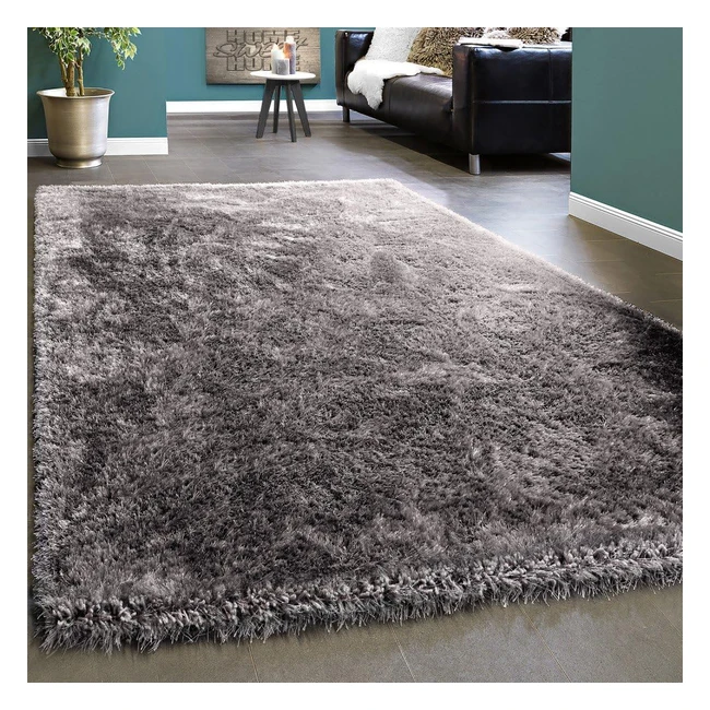 Tapis Shaggy Moelleux Gris Brillant - Paco Home - Réf. 120x170cm
