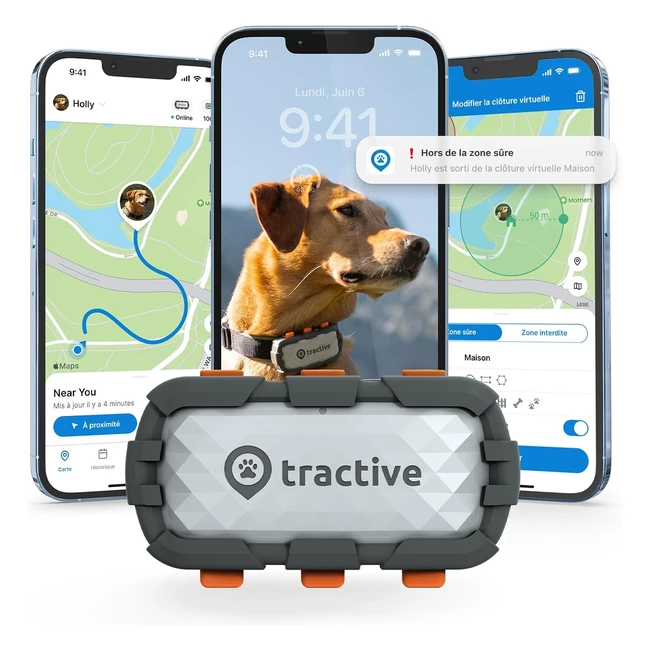 Collier GPS pour chien Tractive XL Adventure - Résistant, Autonomie 1 mois, Localisation globale en direct