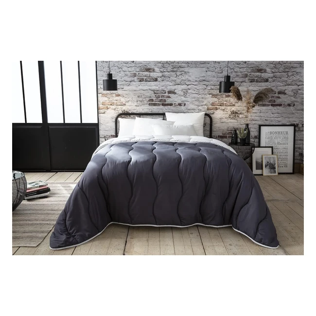 Couette bicolore Abiel blanc/gris 220x240cm - Fabriquée en France