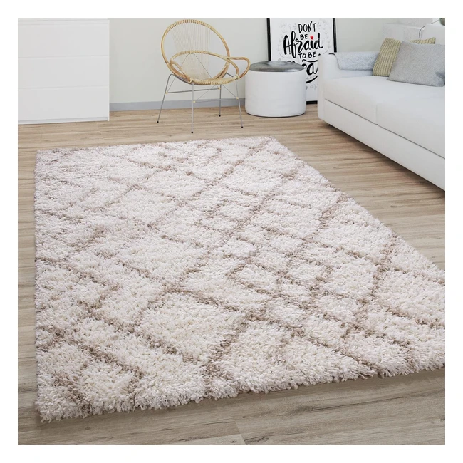 Tapis shaggy salon moderne boho scandinave 300x400cm crème beige