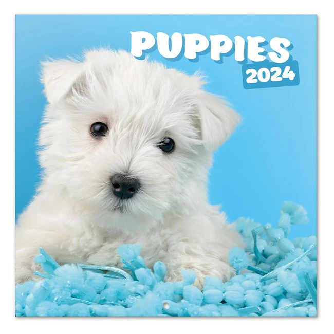 Calendario 2024 da muro Cani 12 mesi + 4 in omaggio 30x30cm FSC