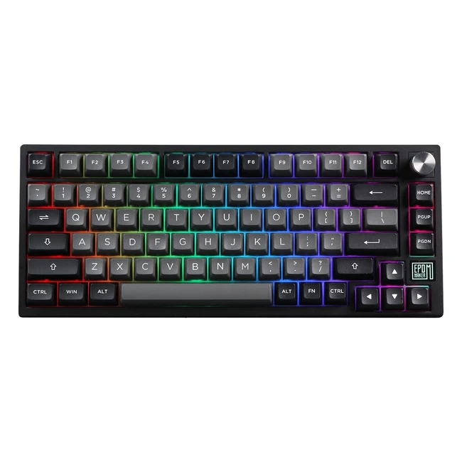 Epomaker TH80 SE Gasket 75 Mechanical Keyboard NKRO Hot Swappable RGB Triple Mode Gaming Keyboard with Poroneva Foam Knob Control for EsportWindowsMac Black Silver Flamingo Switch
