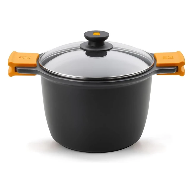 Marmite 20 cm Efficient - Fonte d'aluminium - Antiadhésif Teflon Platinum - Sans PFOA - Induction