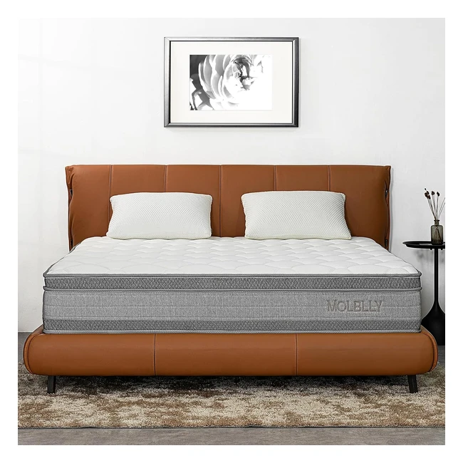 Matelas Molblly 140x190 Ressorts Ensachés Mémoire de Forme 22cm