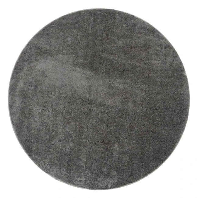 Paco Home Teppich rund kurzflorig modern flauschig waschbar uni Größe 200 cm anthrazit