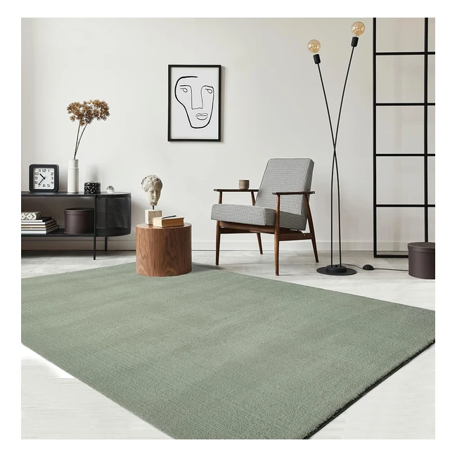 Teppich Relax Moderner Flauschiger Kurzflor Antirutsch 60x110 cm Grün