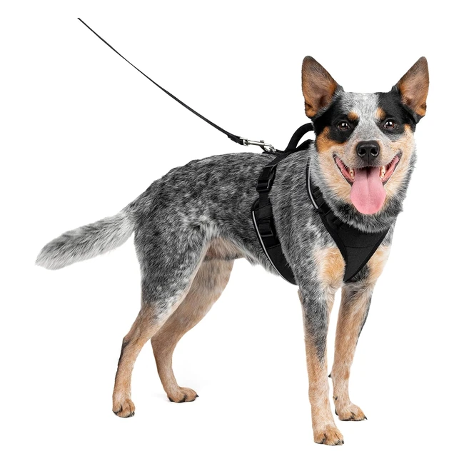 Pettorina Petsafe EasySport per Cani Mediano Nero - ARN Regolabile con Impugnatura e Cinta Riflettente
