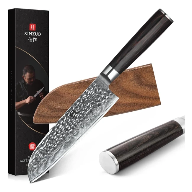 Coltello Santoku Xinzuo 176cm 67 Strati Acciaio Damasco Chef Professionale