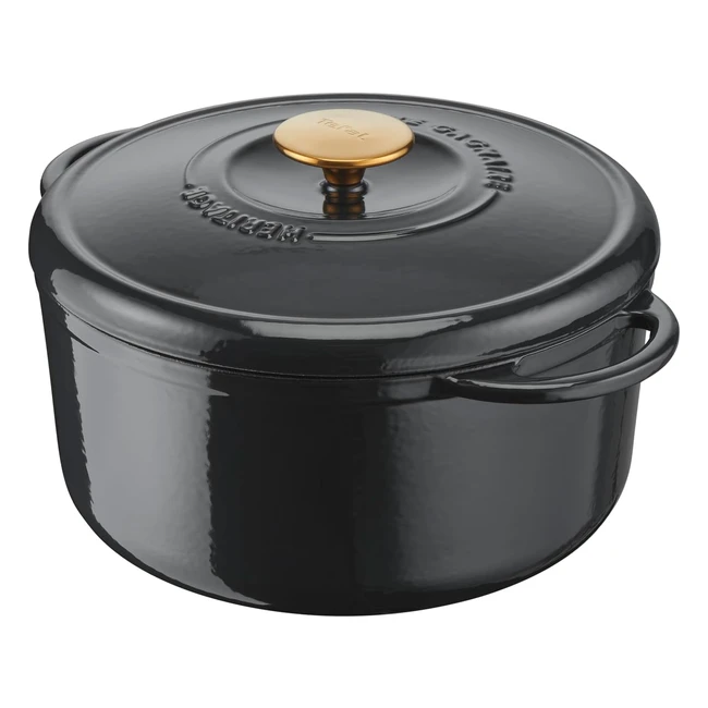 Cocotte Tefal Pierre Gagnaire Héritage 21cm 3.3L Induction - Revêtement Maillé - Cuisson Lente