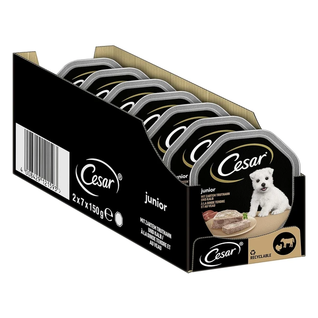 Cesar Junior Nassfutter für Welpen und junge Hunde 1 Jahr mit Truthahn Kalb in Pastete 14 Schalen 14 x 150 g 2100 g
