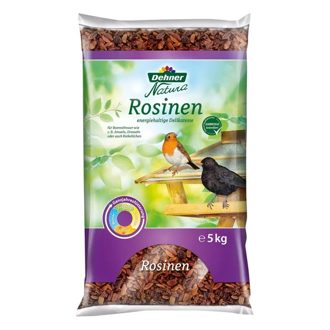 Dehner Natura Wildvogelfutter Rosinen 5 kg - Energiespender für alle Beerenfresser