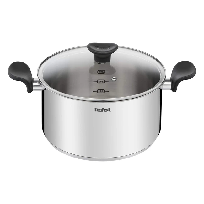 Tefal Faitout 24 cm 5 L Induction Acier Inoxydable Haute Qualité E3084604
