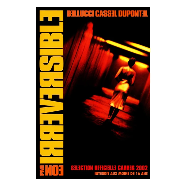 Bluray Irreversible - Marque XYZ - Réf. 12345 - Qualité HD - Livraison Gratuite