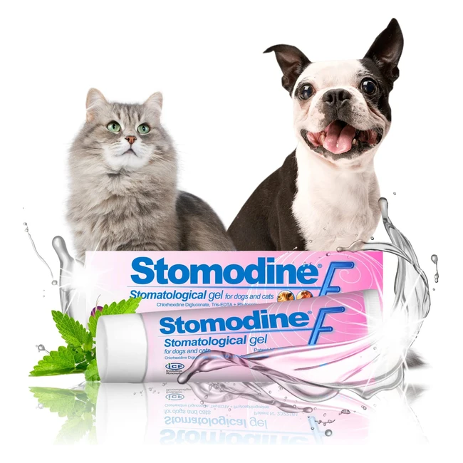 Stomodine F Dental Gel for Cats and Dogs - Fights Plaque & Bad Breath, Soothes Gums, Easy to Use