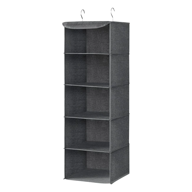 Organizzatore da appendere Songmics con ganci in metallo e divisori interni - Grigio