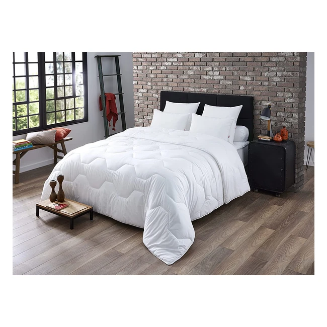 Couette Proneem Anti-acariens Chaude 240x260cm - Marque Dodo