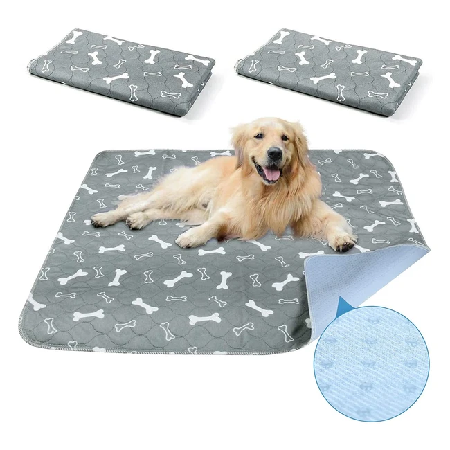Baodan Reusable Dog Training Pads - Super Absorbent & Waterproof - 2 Pack