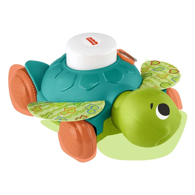 FisherPrice GXK35 Blinkilinkis Meeresschildkröte Baby-Spielzeug ab 9 Monaten