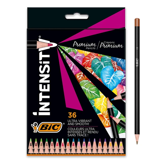 Crayons de couleur BIC Intensity pour adultes - 36 couleurs vives