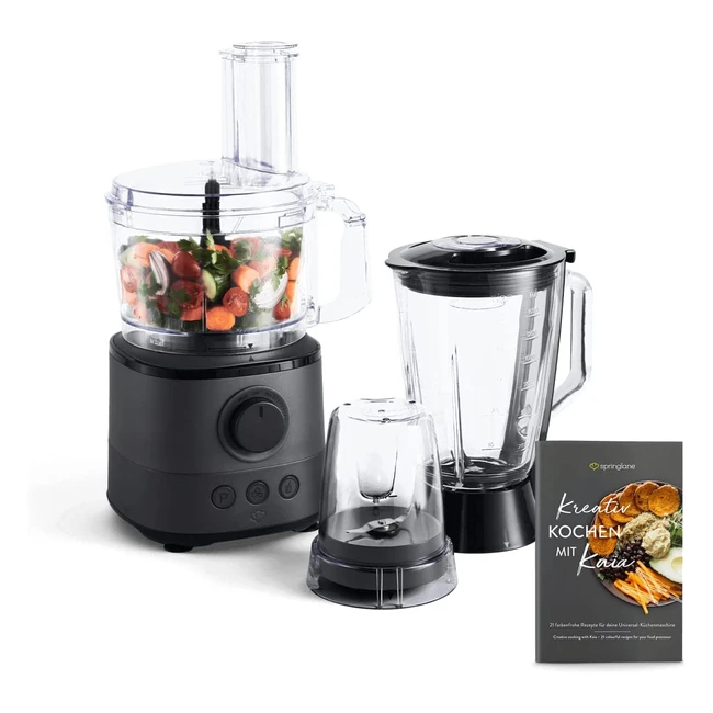Springlane Food Processor 1000W inkl. 4 Schneidescheiben, Messereinsatz, Knethaken, 150ml Minizerkleinerer, Rezeptheft - Anthrazit