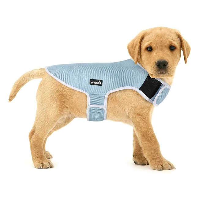 Pecute Dog Cooling Vest - 5 Layer Evaporation Cooling, Sun Protection, Breathable Mesh, Adjustable Straps, Blue