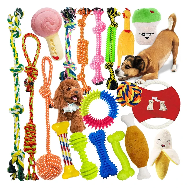 Ensemble de 19 jouets pour chiens mcher corde interactif nettoyage de dent