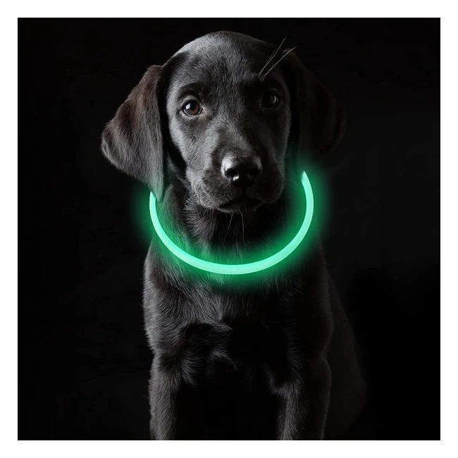 Coolzon Collare Luminoso USB per Cani - Impermeabile, Regolabile, 3 Modalità di Luce
