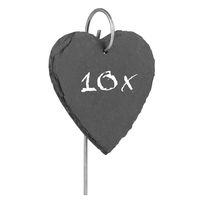 Set de 10 etiquetas de pizarra Hoberg para plantas resistentes a la intemperie con pas de acero