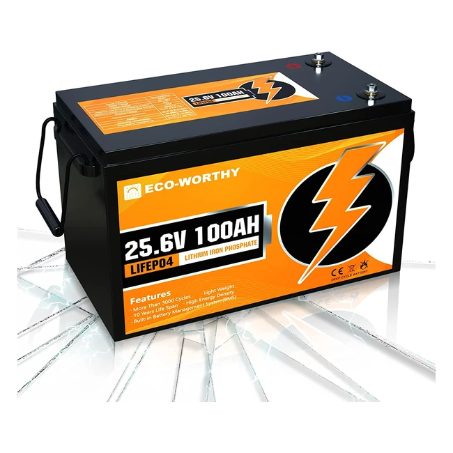 ECOWORTHY 256V 100Ah Lithium Battery - 3000 Cycles BMS Protection Ideal for S