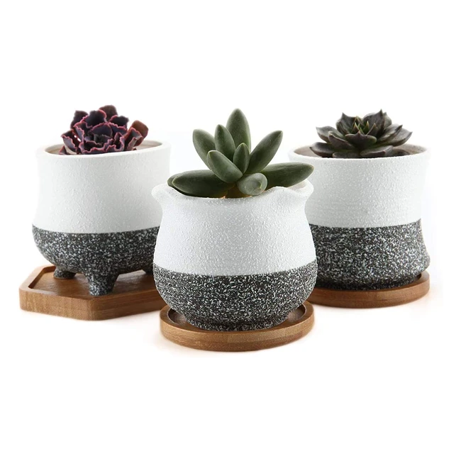 T4U 9cm Succulent Plant Pot Set of 3 with Bamboo Tray - Korean Style Bonsai Planter for Indoor Garden Decoration