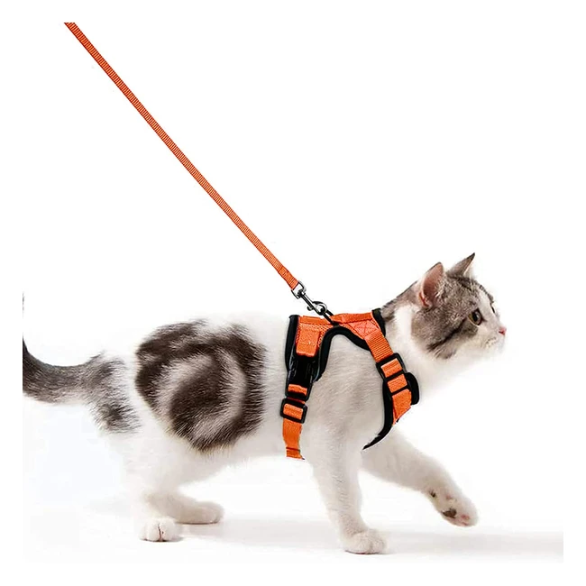 Arnes Antiescape para Gatos Wdmiya - Ajustable y Reflectante - Talla XS/S - Correa de 150cm - Cómodo y Transpirable