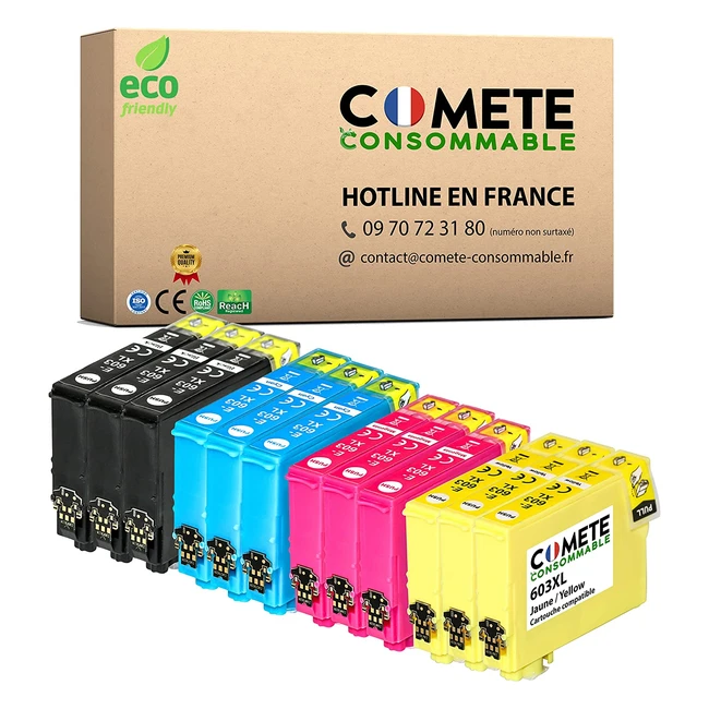 Lot de 12 cartouches d'encre compatibles Epson 603XL étoile de mer pour imprimante XP 2150, XP 2100, WF 2810DWF