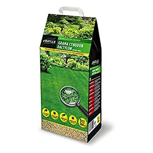 Semillas de csped Cynodon Dactilon Bermuda Grass - Resistente al invierno y ba