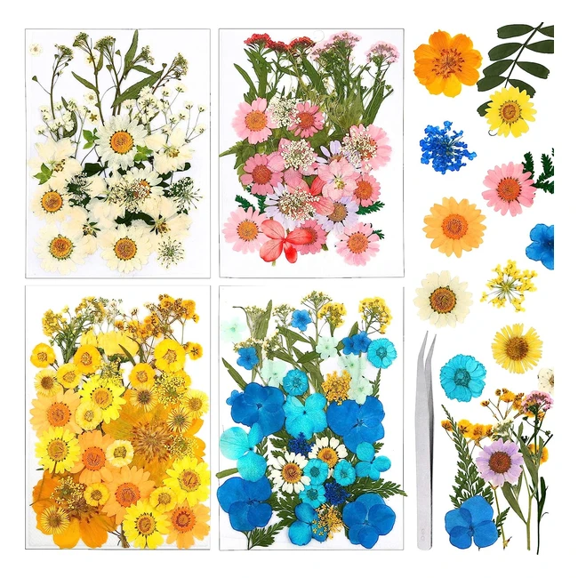 Real Dried Flowers & Leaves - 151 Pieces for DIY Crafts & Decorations