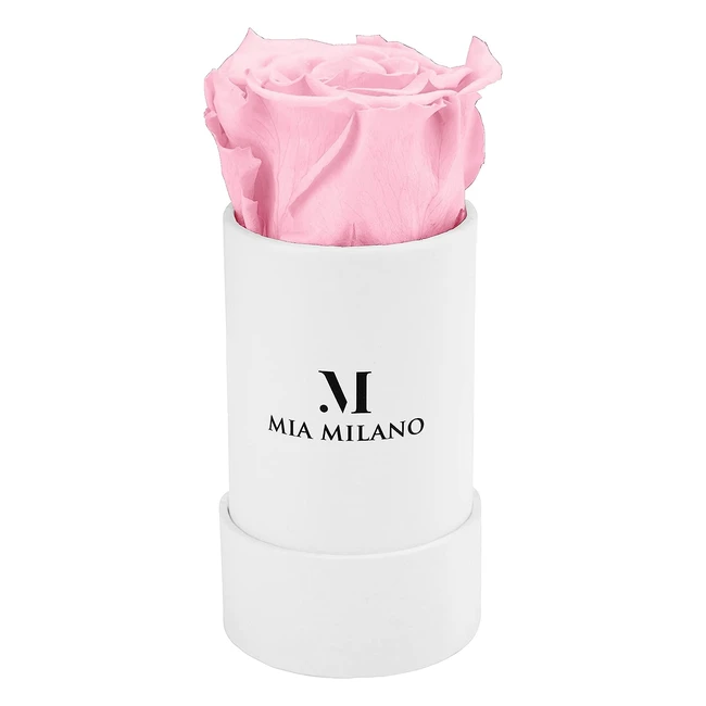 Infinity Rose Rose en boîte - 3 ans de conservation - Fleur éternelle - Boîte cadeau incluse