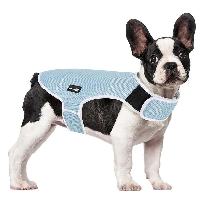 Gilet Rafraîchissant Pecute pour Chien - Protection Solaire UPF 50 - Léger et Respirant - Tailles S à 3XL
