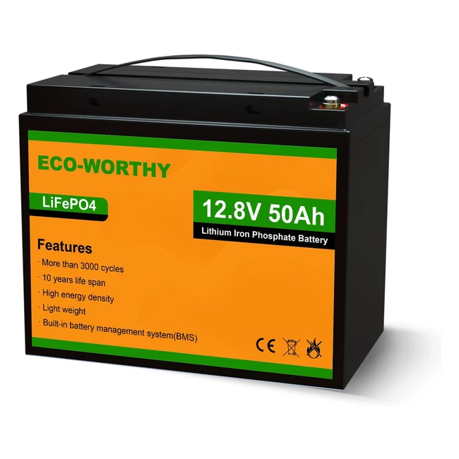 Eco-Worthy Lithium Battery 50Ah 128V - 3000 Deep Cycles, BMS Protection - RV, Boat, Solar Panel System