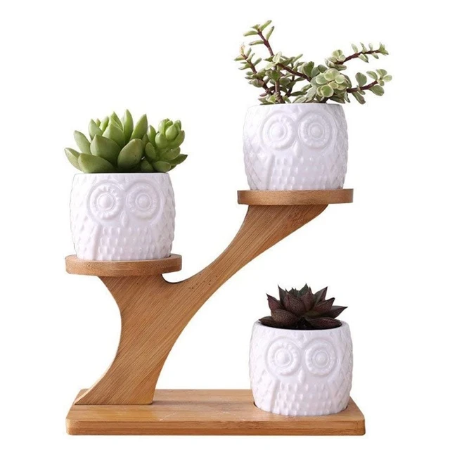 Vasi da giardino in ceramica Linglan - Set decorativo moderno con mensola in bambu per piante succulente e bonsai