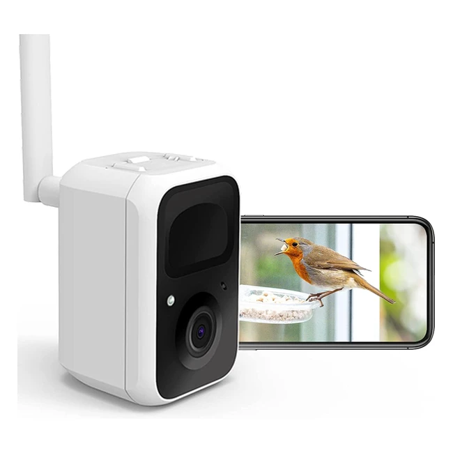 Netvue Birdfy Smart Bird Feeder Camera - Auto Capture Bird Videos - AI Identify 