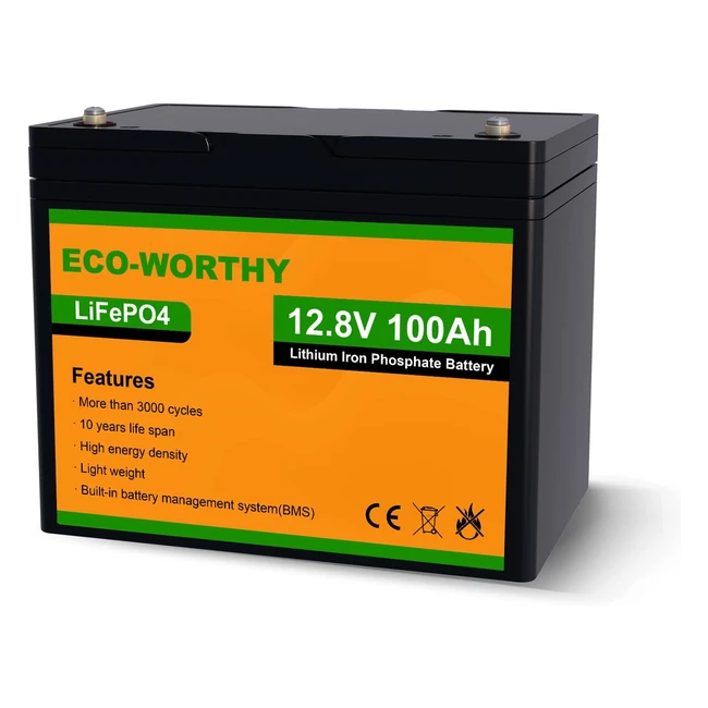 Batteria al litio 12V 100Ah Ecoworthy - Ricaricabile 3000 volte - Lunga durata - Energia solare