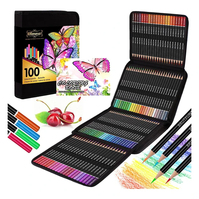 efimeso 100 Colouring Pencils - Professional Coloured Pencils with Zipper Case