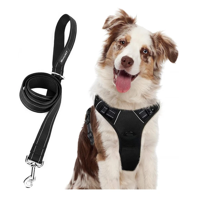Ensemble Harnais Chien Merrybiy avec Laisse Anti Traction - Réglable et Rembourré - Pour Petit, Moyen et Grand Chiens