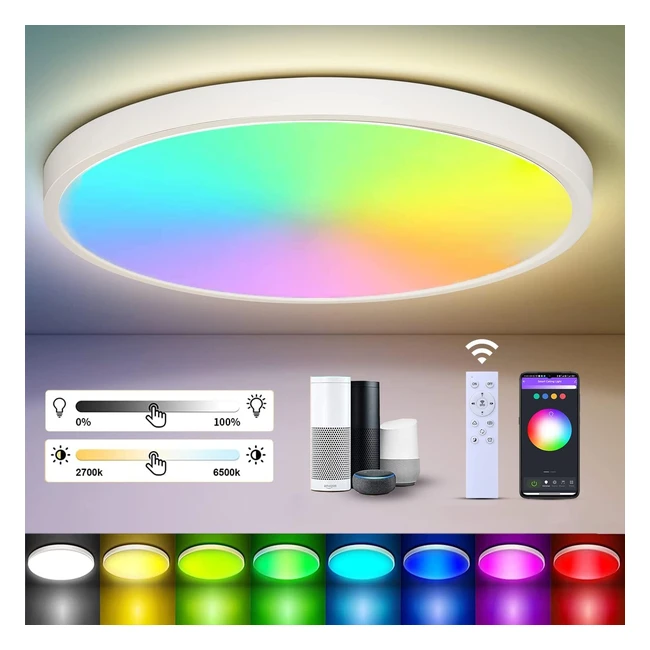 Canmeijia LED Ceiling Light 24W 12inch Bathroom Lights Ceiling Smart Ceiling Lights RGB Dimmable