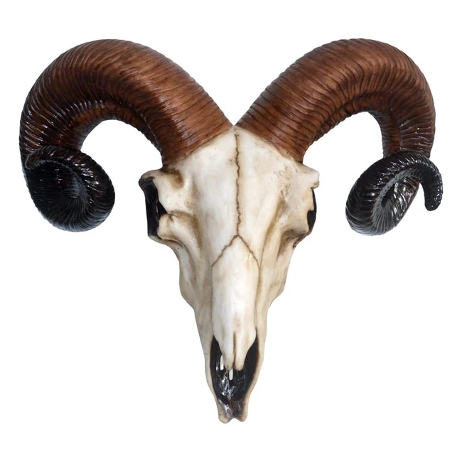Nemesis Now Rams Skull Wall Plaque - Medium, Ivory Resin, 33cm, 1kg