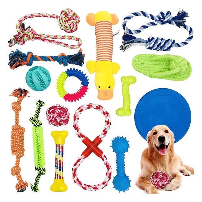 Ensemble de 15 jouets pour chien durables et interactifs - MCNORY