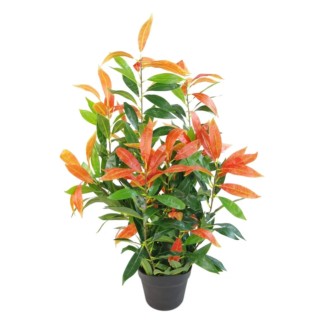 Realistic Ficus Treeplant - 80cm - Red Green - Photinia - Brand XYZ - Ref: 12345